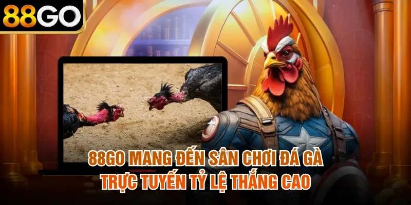 88Go mang đến sân chơi đá gà trực tuyến tỷ lệ thắng cao