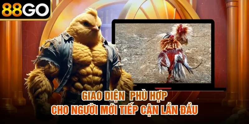 Giao diện phù hợp cho người mới tiếp cận lần đầu