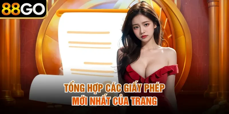 Tổng hợp các giấy phép mới nhất của trang